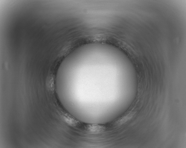 X0000074960336200609152103