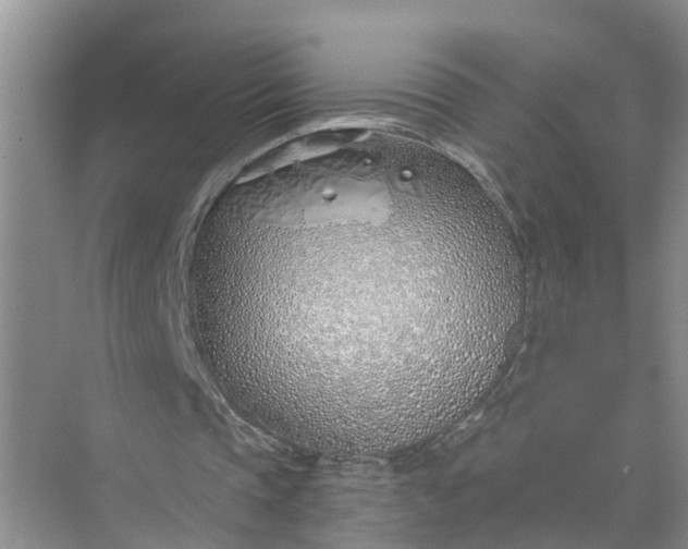 X0000074960337200609152102