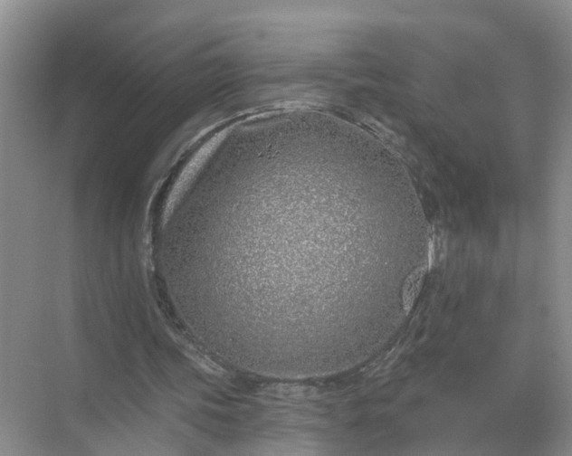 X0000074960339200609152102