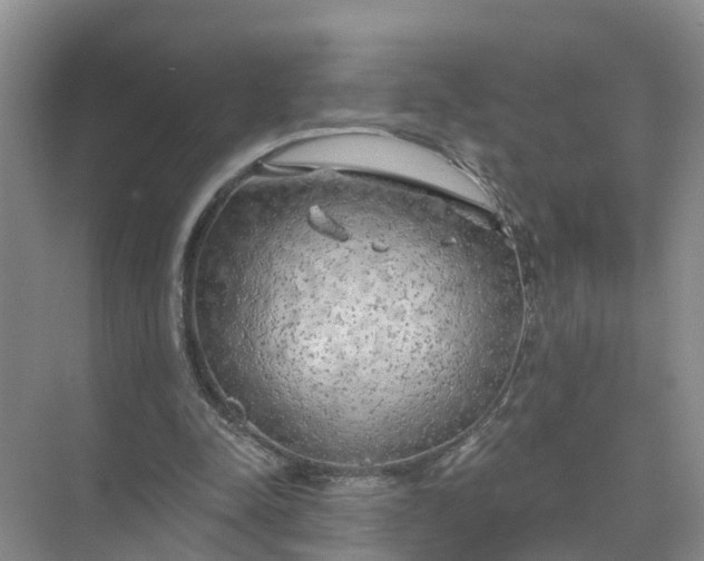 X0000074960342200609152102