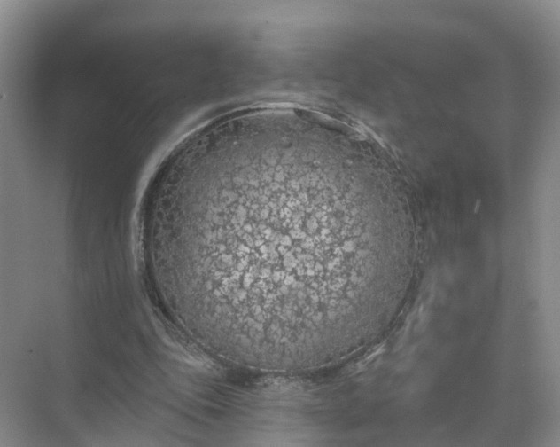 X0000074960343200609152102