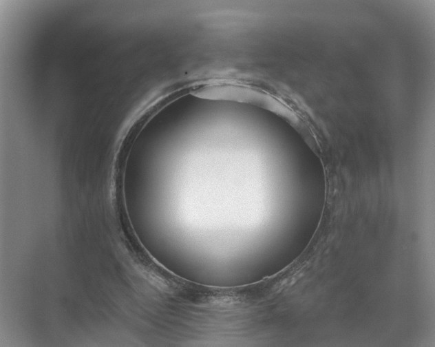 X0000074960344200609152102