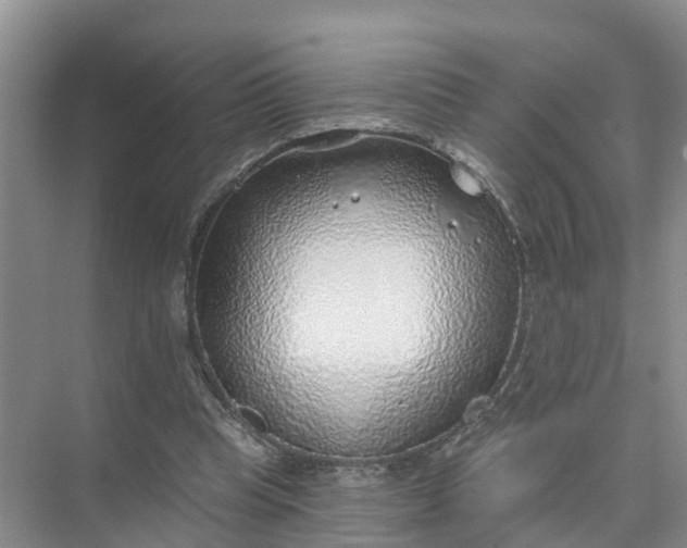 X0000074960345200609152102