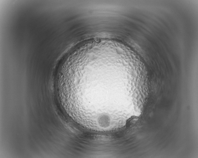 X0000074960347200609152102