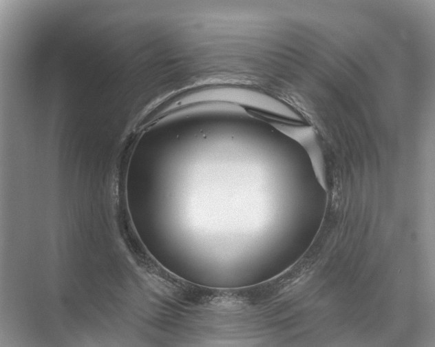 X0000074960348200609152102