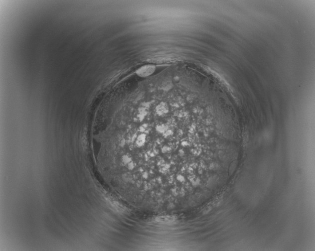 X0000074960353200609152102