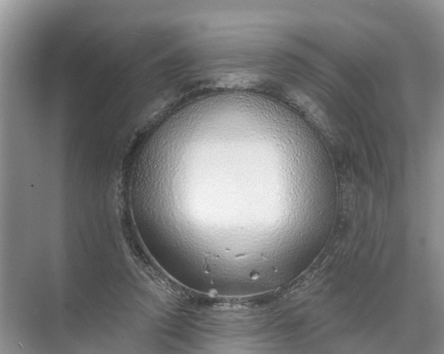 X0000074960354200609152102