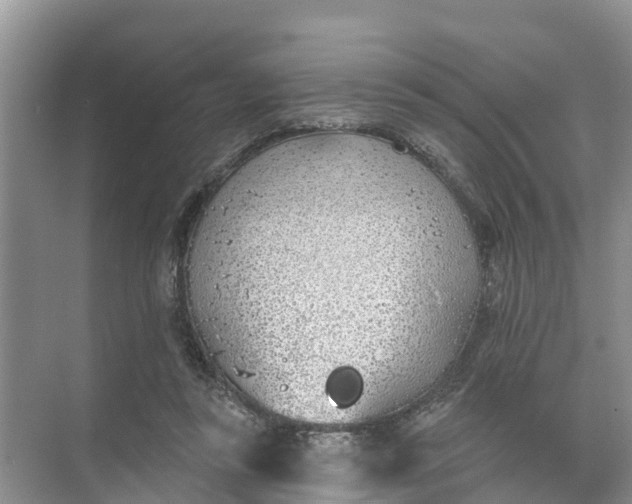 X0000074960355200609152102