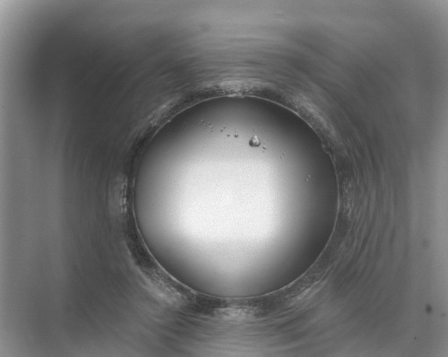 X0000074960356200609152102