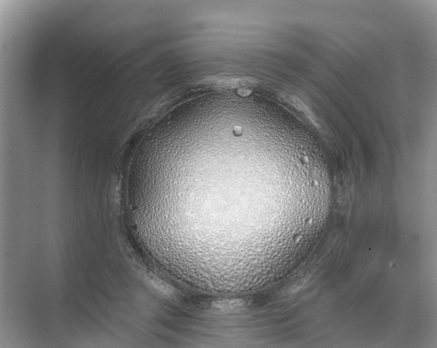 X0000074960357200609152102