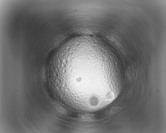 X0000074960359200609152102