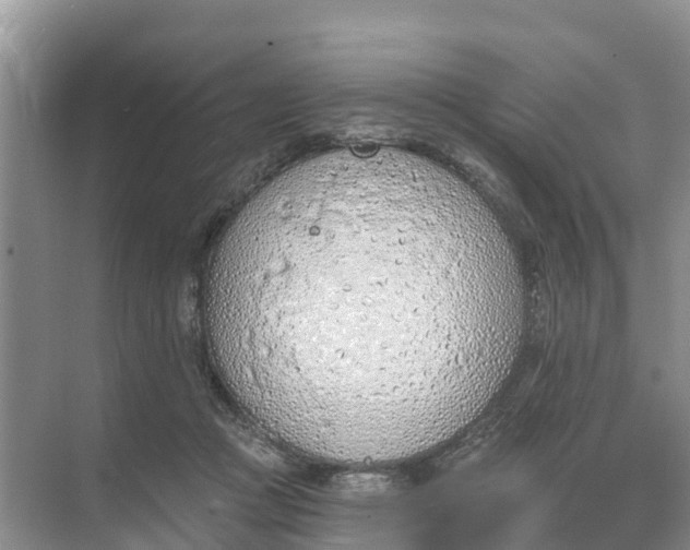 X0000074960361200609152102