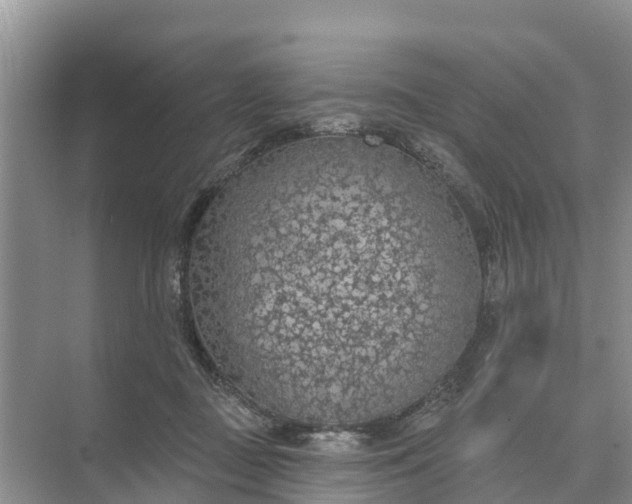 X0000074960363200609152102