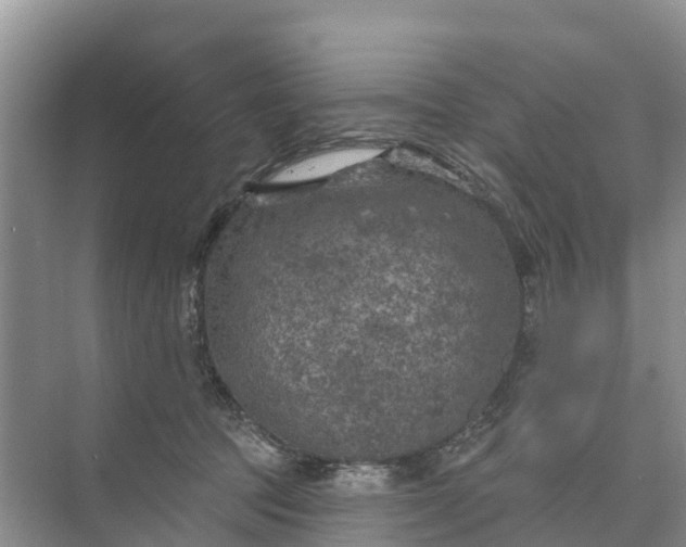 X0000074960369200609152103