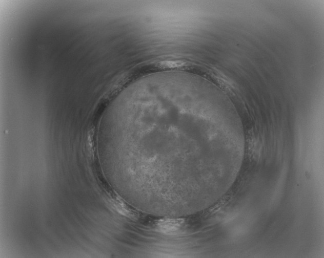 X0000074960373200609152103