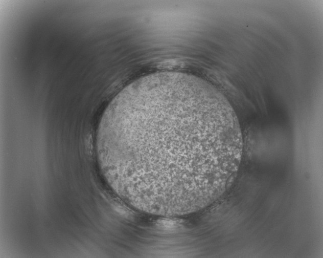 X0000074960375200609152103