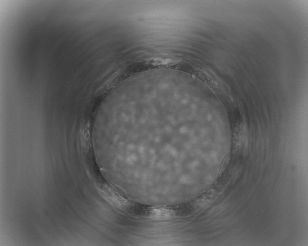 X0000074960376200609152103