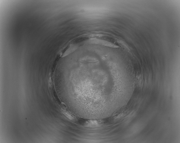 X0000074960381200609152103