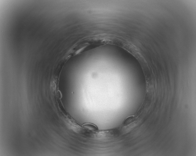 X0000074960382200609152103