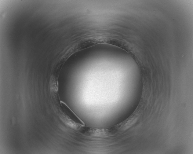 X0000074960384200609152103