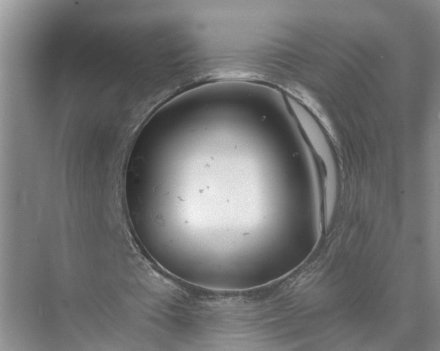 X0000074960385200609152102