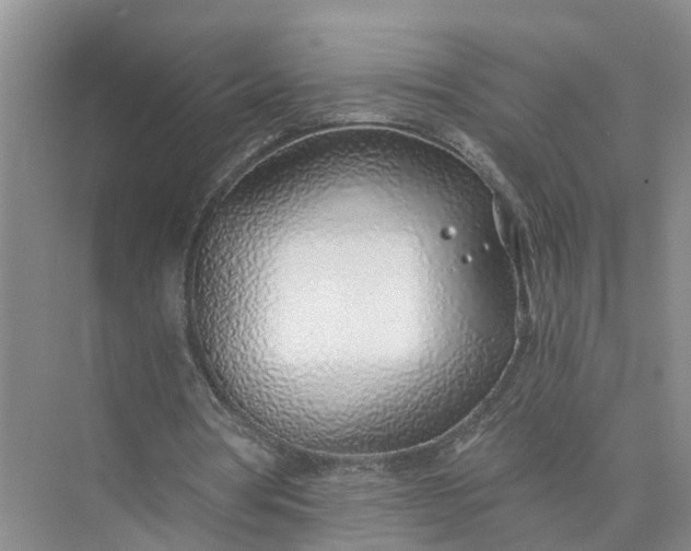 X0000074960386200609152102