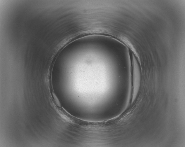 X0000074960389200609152102