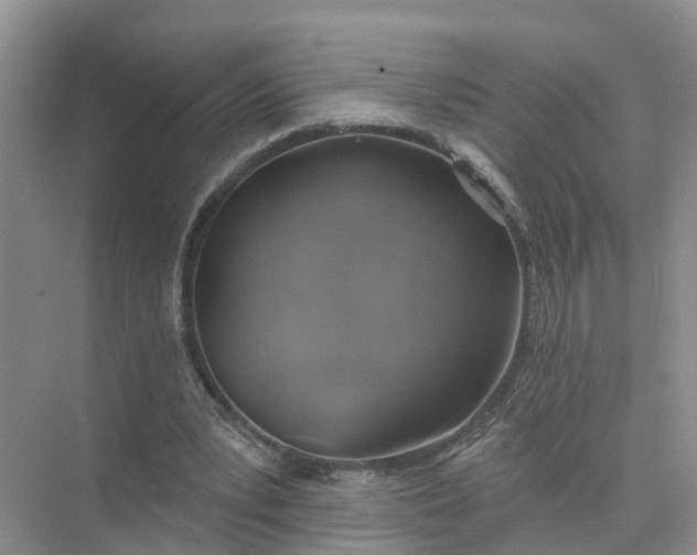 X0000074960391200609152102