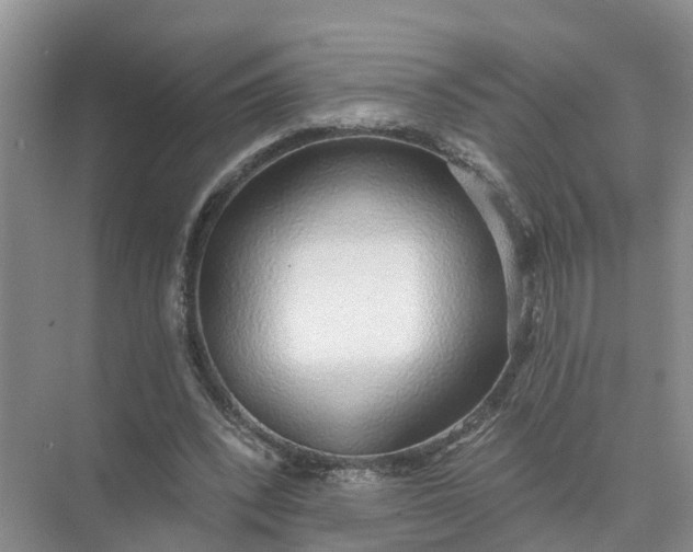 X0000074960392200609152102