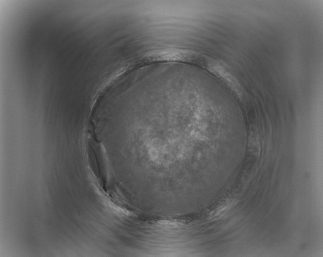 X0000074960394200609152102