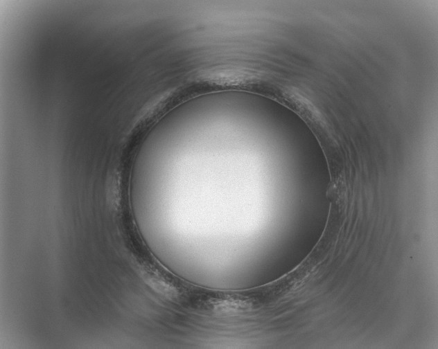 X0000074960400200609152102