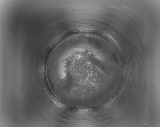 X0000074960405200609152102