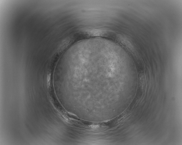 X0000074960406200609152102