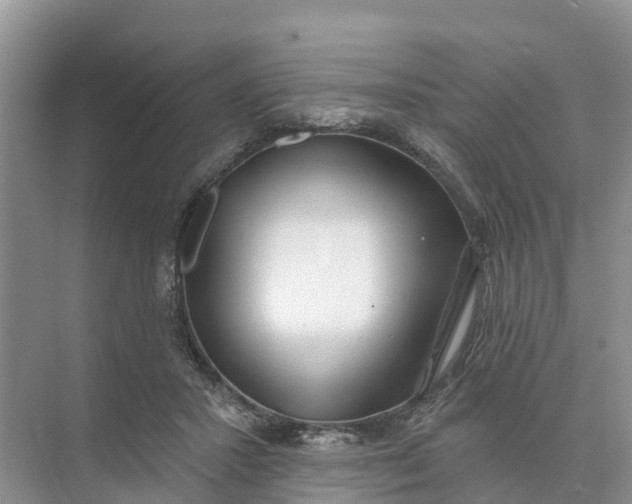 X0000074960407200609152102