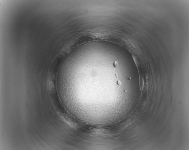 X0000074960408200609152102