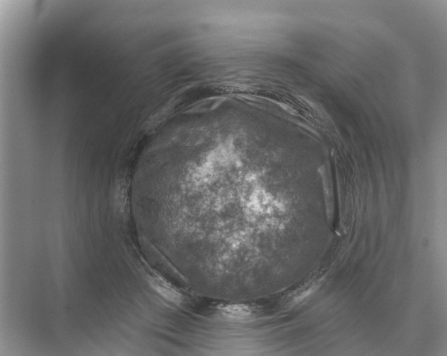 X0000074960409200609152102