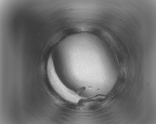 X0000074960410200609152102