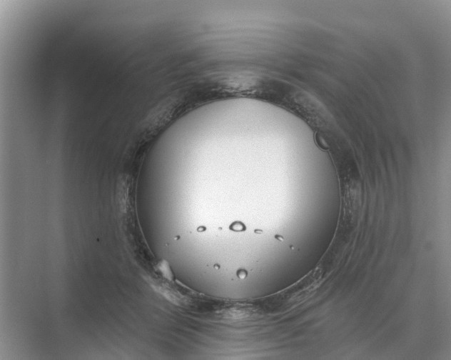 X0000074960412200609152101