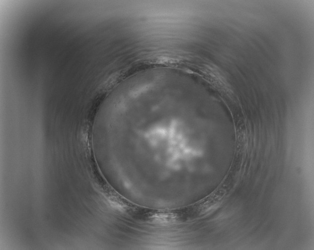 X0000074960415200609152101