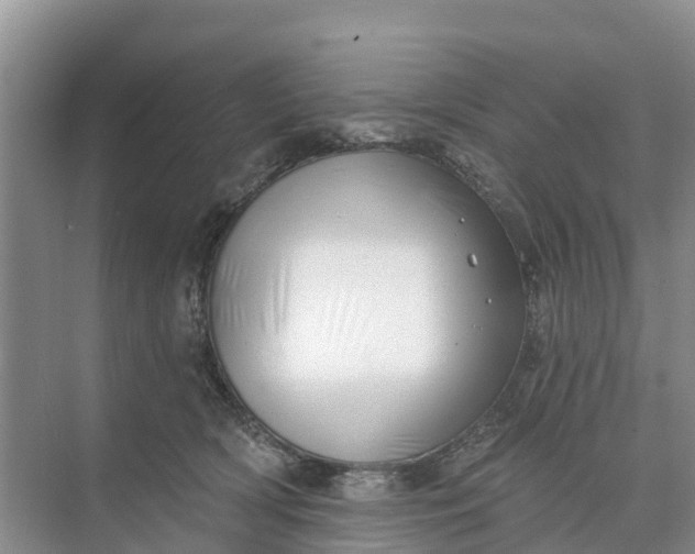 X0000074960418200609152101