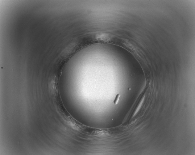 X0000074960424200609152101