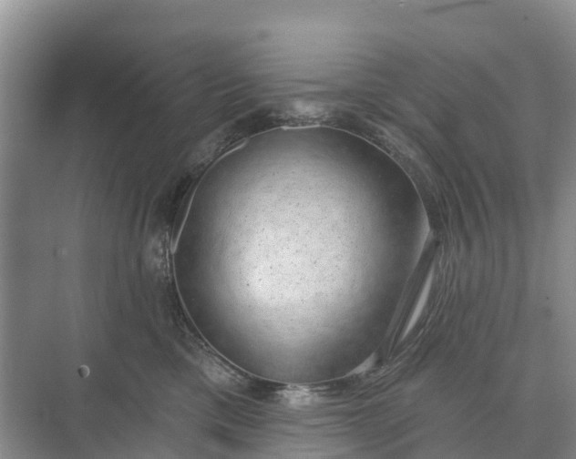 X0000074960425200609152101