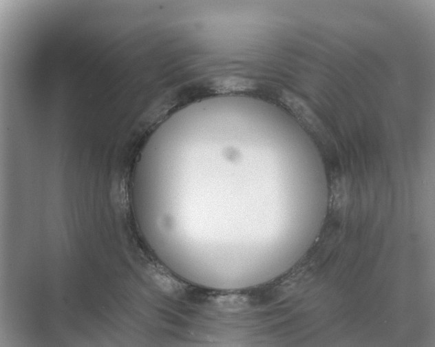 X0000074960426200609152101