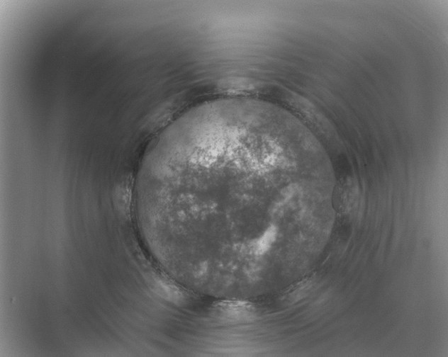 X0000074960427200609152101