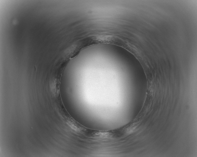 X0000074960428200609152101