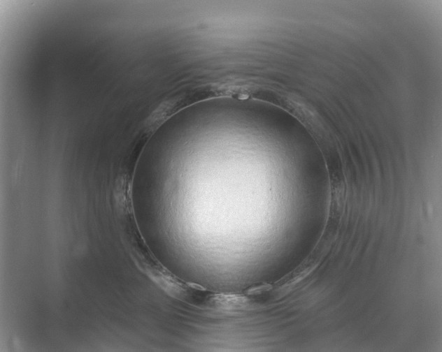 X0000074960429200609152101