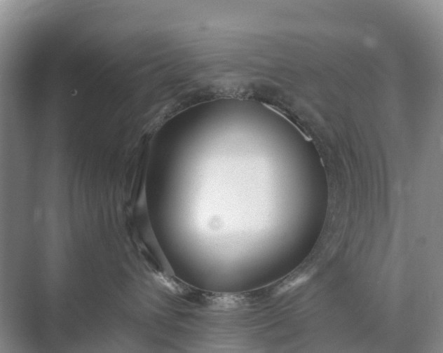 X0000074960432200609152101