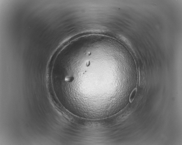 X0000074960435200609152100