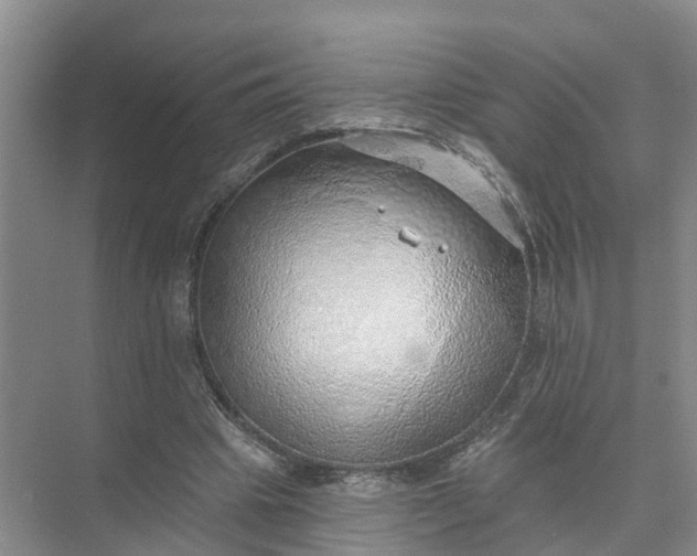 X0000074960441200609152100