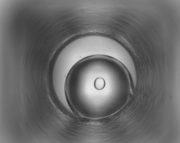 X0000074960444200609152101